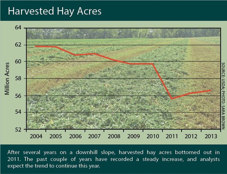 Hay Prices and Acreage Remain Strong AgWeb